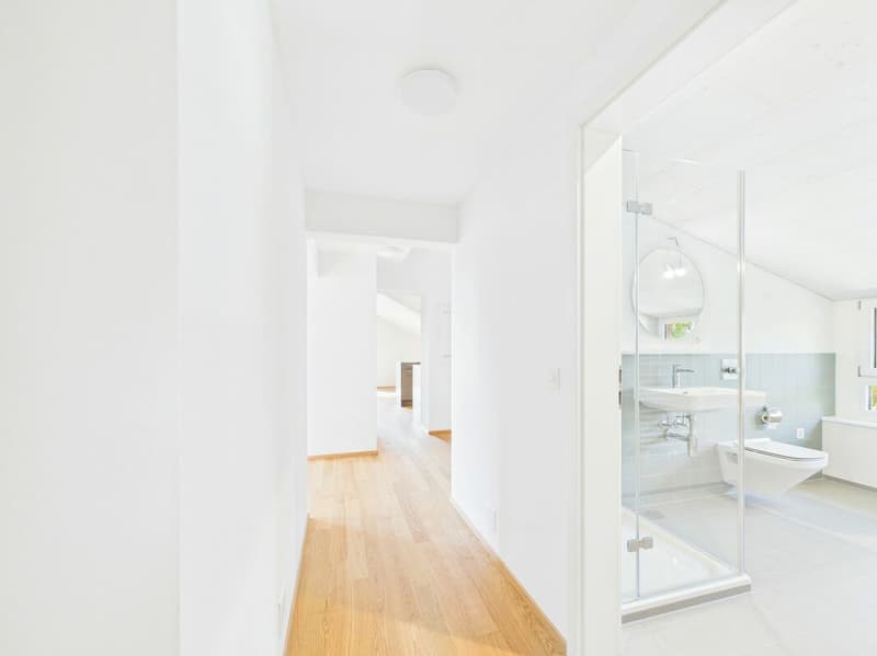 Very spacious, bright, freshly renovated attic apartment (7)