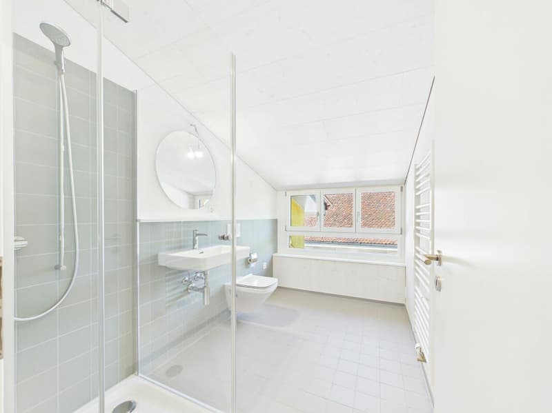 Very spacious, bright, freshly renovated attic apartment (8)