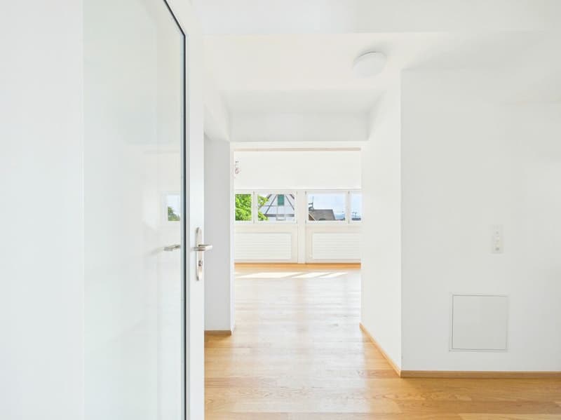 Very spacious, bright, freshly renovated attic apartment (13)