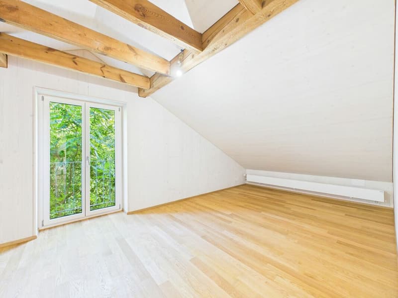 Very spacious, bright, freshly renovated attic apartment (11)