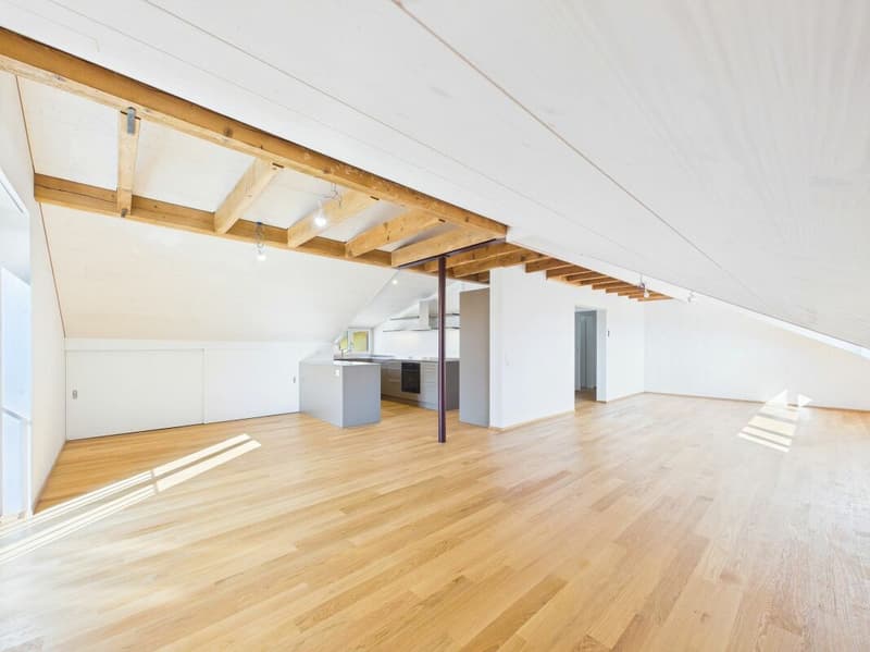 Very spacious, bright, freshly renovated attic apartment (6)
