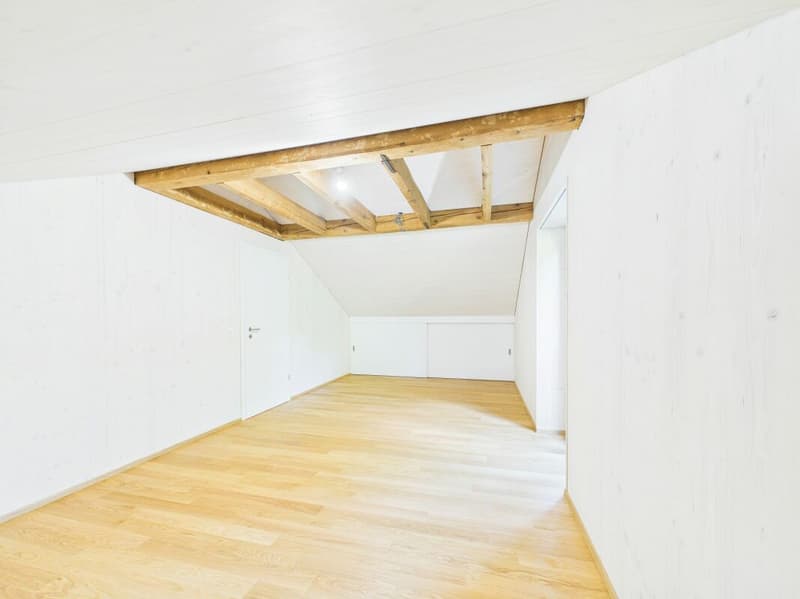 Very spacious, bright, freshly renovated attic apartment (12)