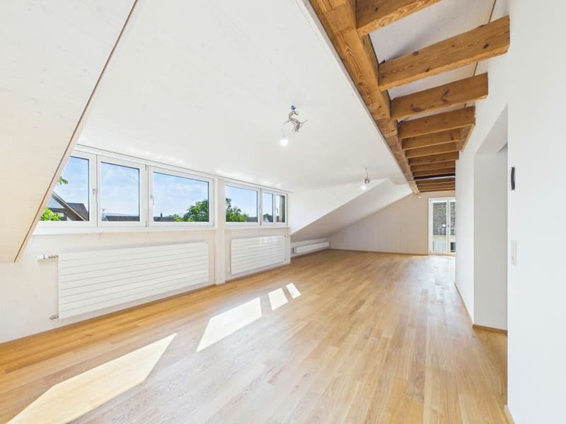 Very spacious, bright, freshly renovated attic apartment (10)