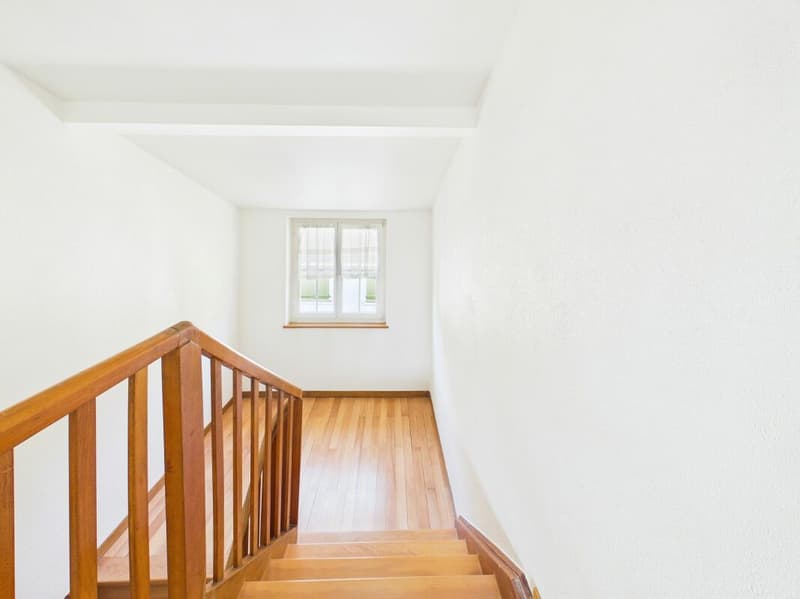 Very spacious, bright, freshly renovated attic apartment (14)