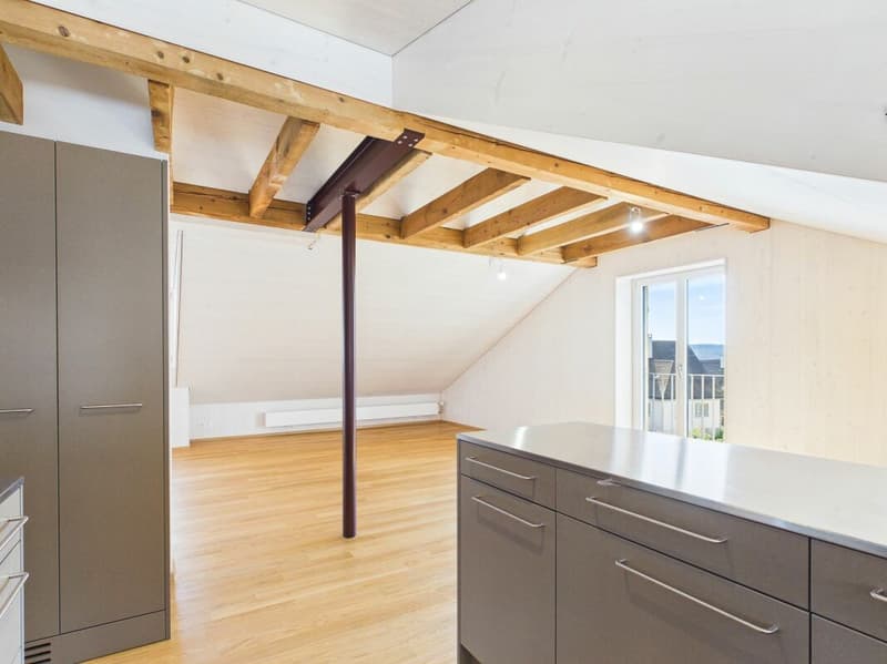 Very spacious, bright, freshly renovated attic apartment (5)