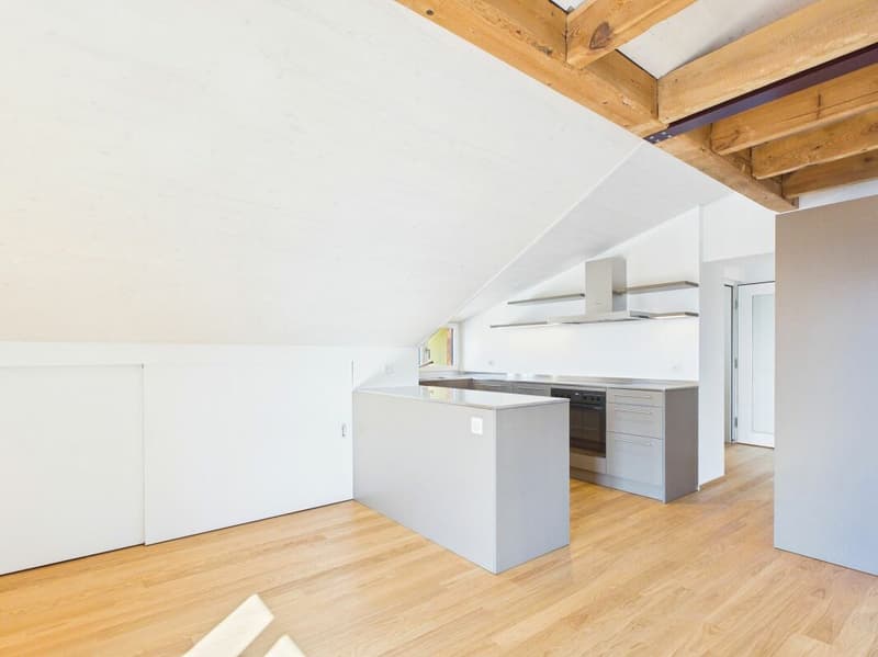 Very spacious, bright, freshly renovated attic apartment (3)
