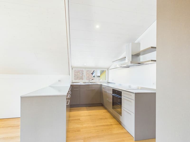Very spacious, bright, freshly renovated attic apartment (4)