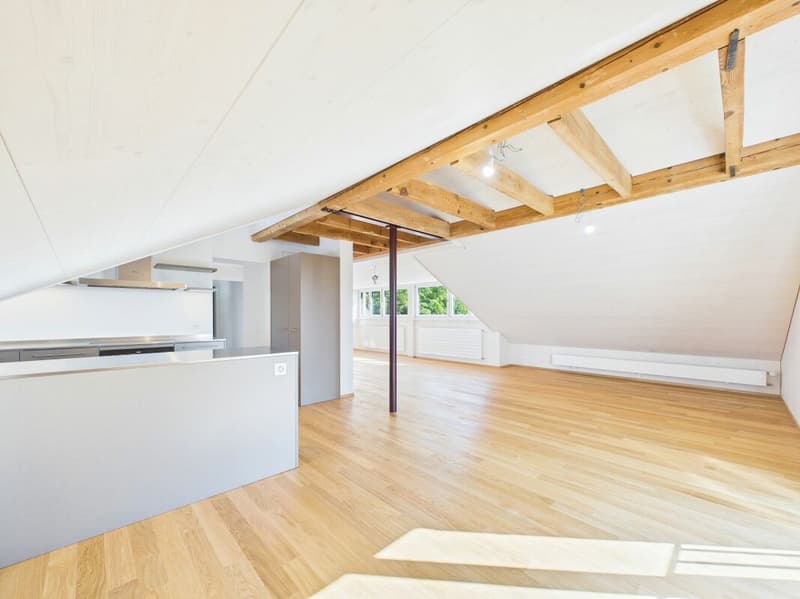 Very spacious, bright, freshly renovated attic apartment (9)