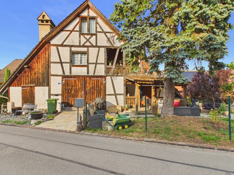 Grosszügiges Mehrfamilienhaus mit Gewerbeeinheit (2)