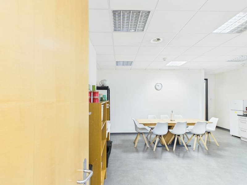 Schöne, geräumige Fläche zu vermieten: 240 m² (21)