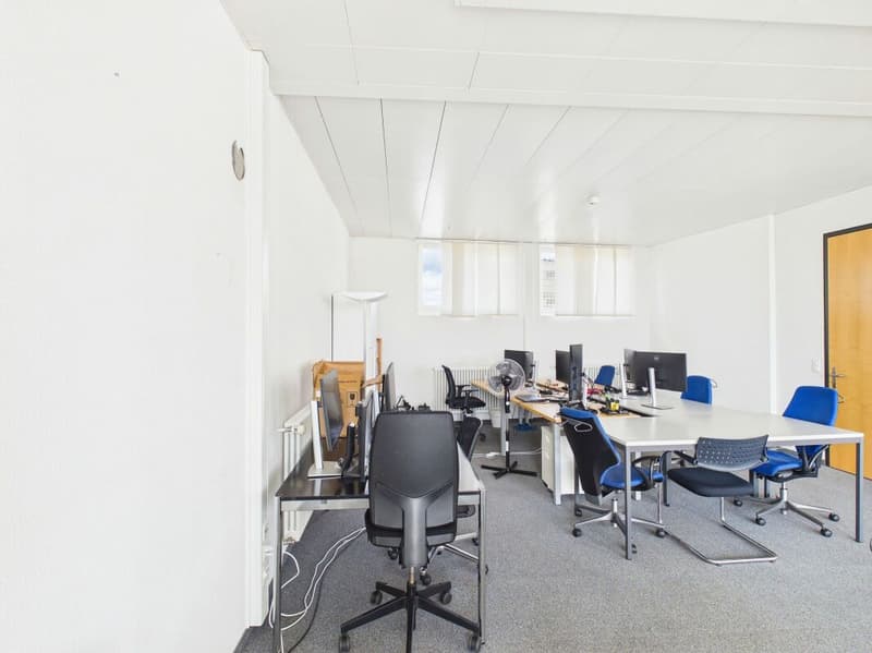 Schöne, geräumige Fläche zu vermieten: 240 m² (4)