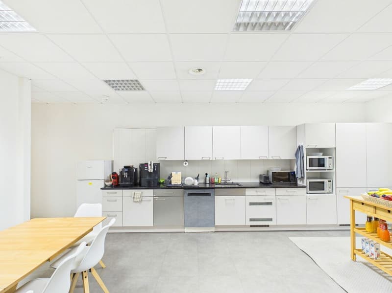 Schöne, geräumige Fläche zu vermieten: 240 m² (15)