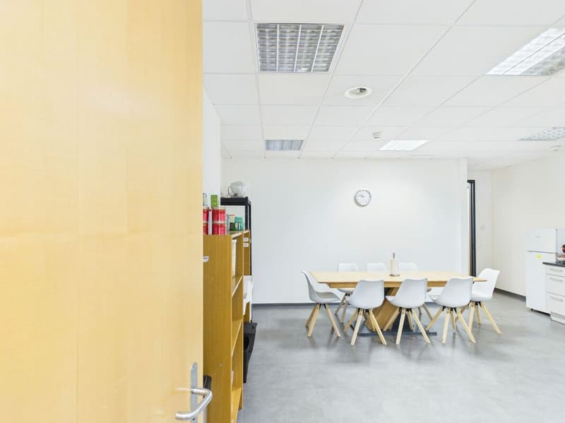 Schöne, geräumige Fläche zu vermieten: 240 m² (17)