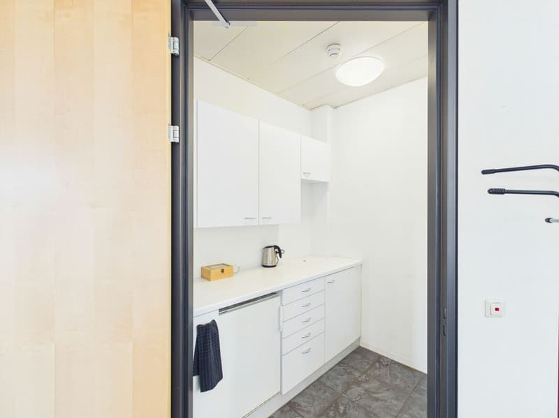 Schöne, geräumige Fläche zu vermieten: 240 m² (14)