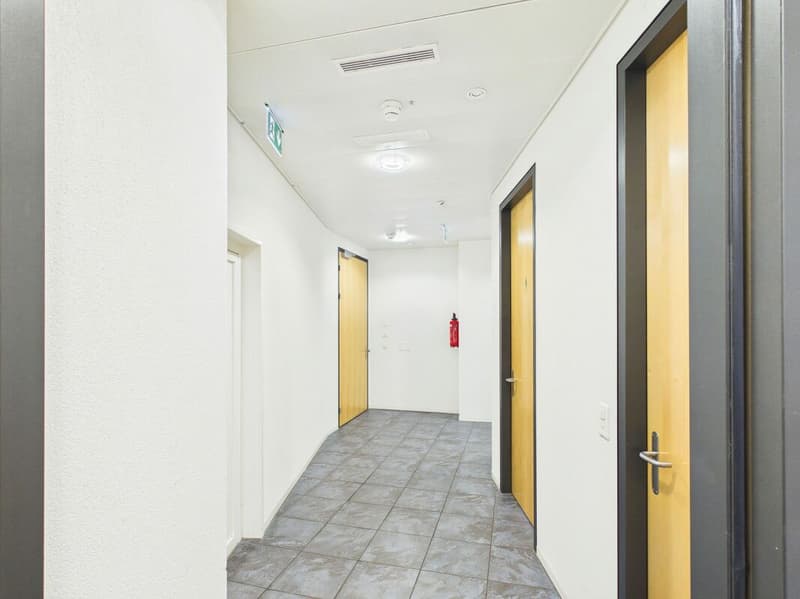 Schöne, geräumige Fläche zu vermieten: 240 m² (18)