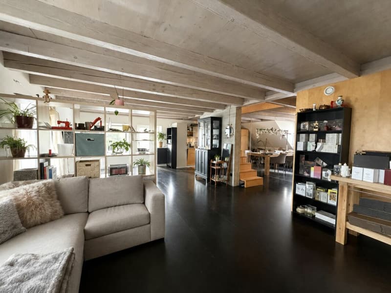 2.5-Zimmer-Wohnung mit Aare-, Berg- und Weitblick in Brugg (3)