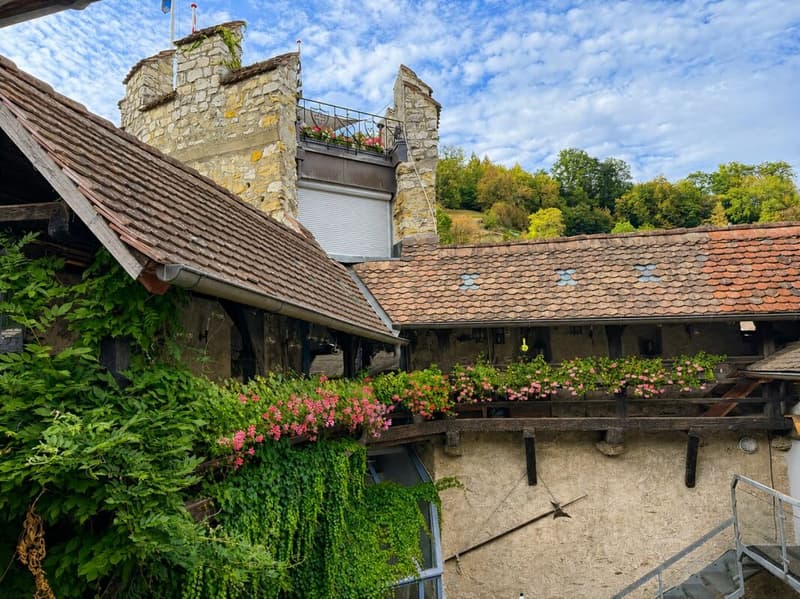 2.5-Zimmer-Wohnung mit Aare-, Berg- und Weitblick in Brugg (5)