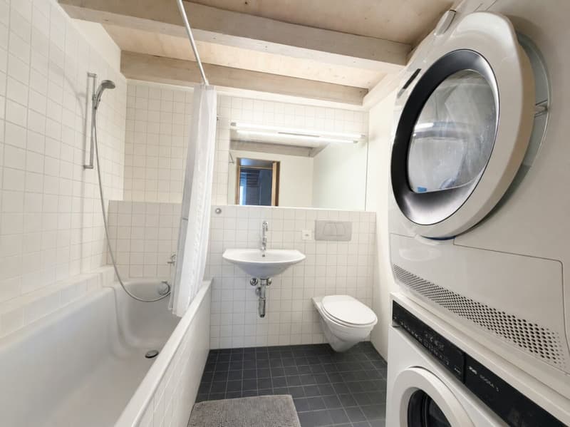 2.5-Zimmer-Wohnung mit Aare-, Berg- und Weitblick in Brugg (6)