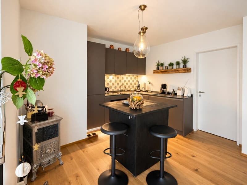 Hochwertige möblierte 2.5-Zimmer-Gartenwohnung an der Beckenhofstrasse in Zürich (4)