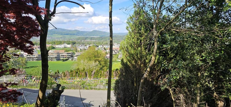 Casa unifamiliare ristrutturata con vista sulla catena del Giura! (17)