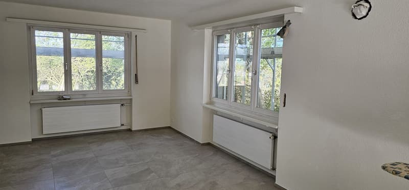 Casa unifamiliare ristrutturata con vista sulla catena del Giura! (6)