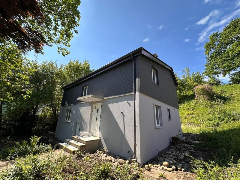 6.5-room single-family house completely renovated (1)