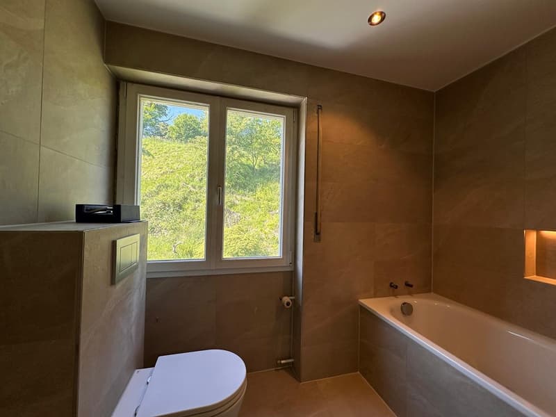 6.5-room single-family house completely renovated (12)
