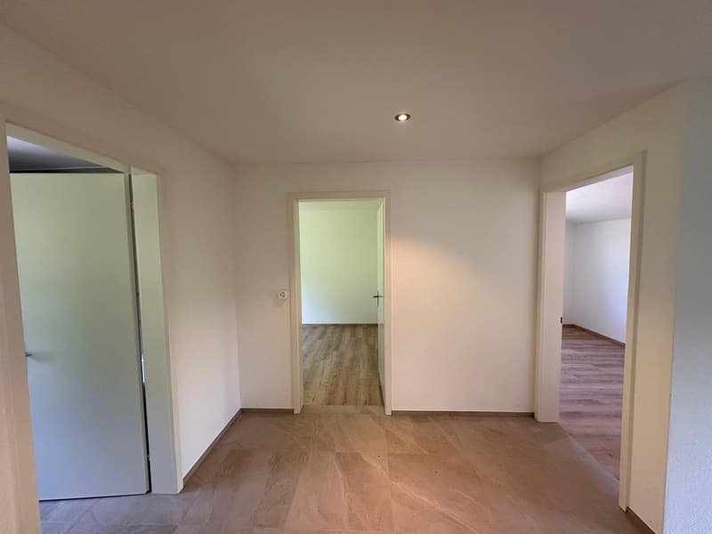6.5-room single-family house completely renovated (9)
