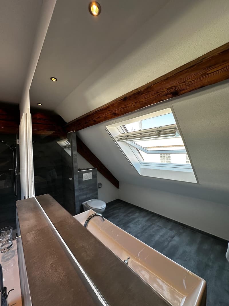 Appartement de 2,5 pièces en mansarde au cœur de Balsthal (8)