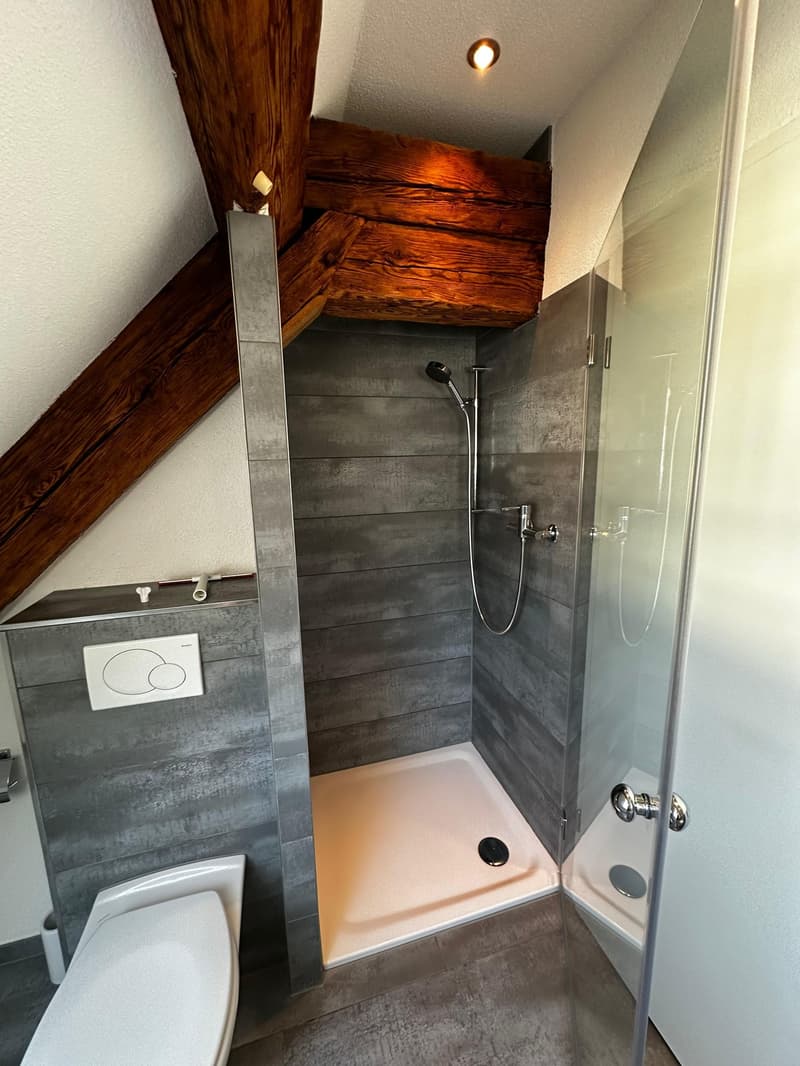 Appartement de 2,5 pièces en mansarde au cœur de Balsthal (7)