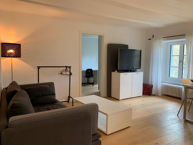 2-Zimmer-Wohnung im Zentrum von Balsthal (13)