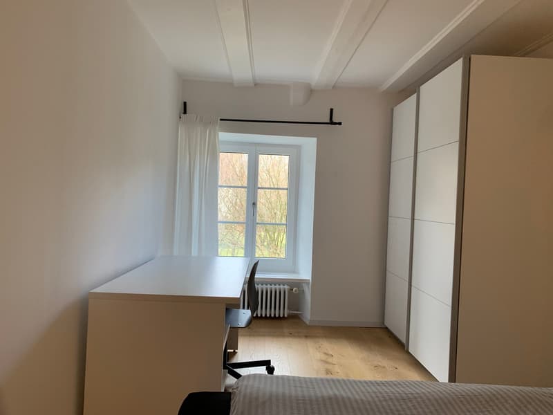 2-Zimmer-Wohnung im Zentrum von Balsthal (5)