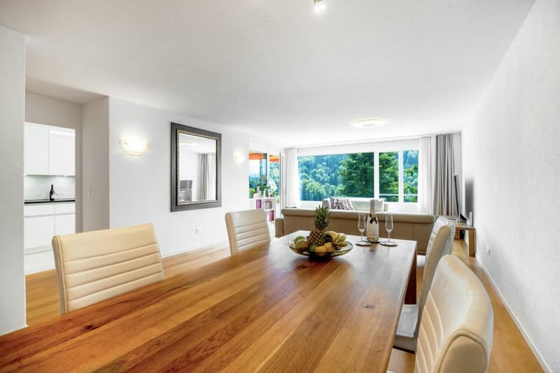 Exclusive living with lake panorama and Pilatus view (2)