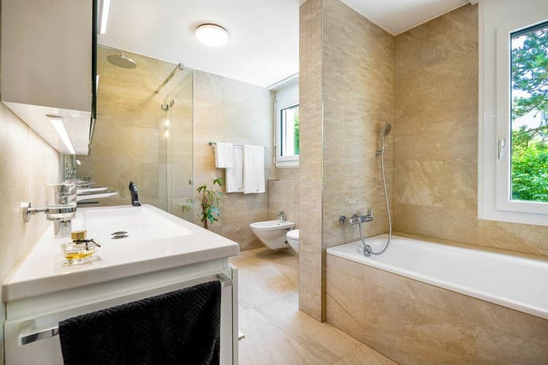 Exclusive living with lake panorama and Pilatus view (8)