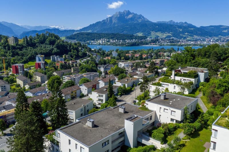 Vita di qualità pura - pendio sud soleggiato con vista sul Pilatus (10)