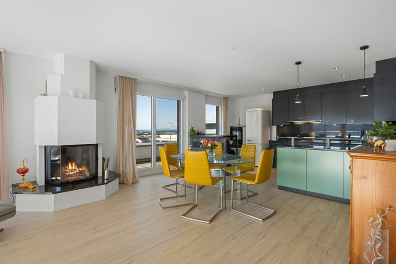 Penthouse with dream panorama - central with unobstructable long-distance view (4)