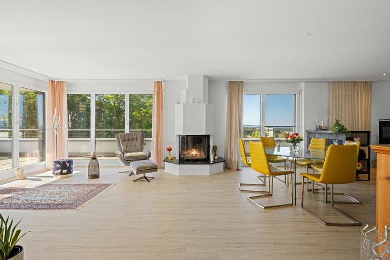 Penthouse with dream panorama - central with unobstructable long-distance view (3)