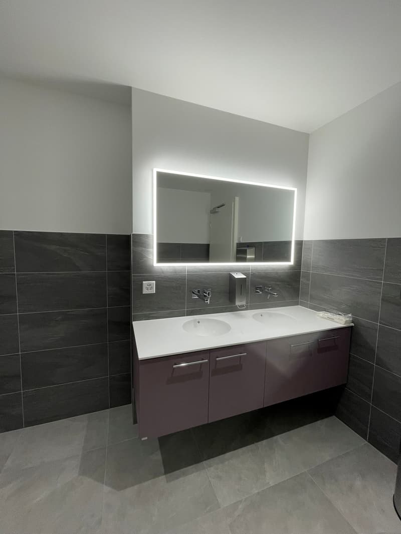 716m² Büro, 1052 Le Mont-sur-Lausanne (6)