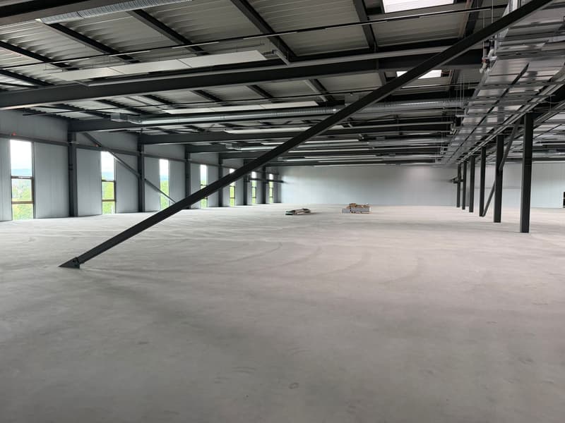 SAINT-AUBIN (FR) Surfaces d'activité neuves et modulables, de 248 m² à 2'800 m² (3)