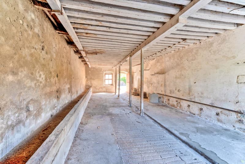 Meravigliosa costruzione storica (3)