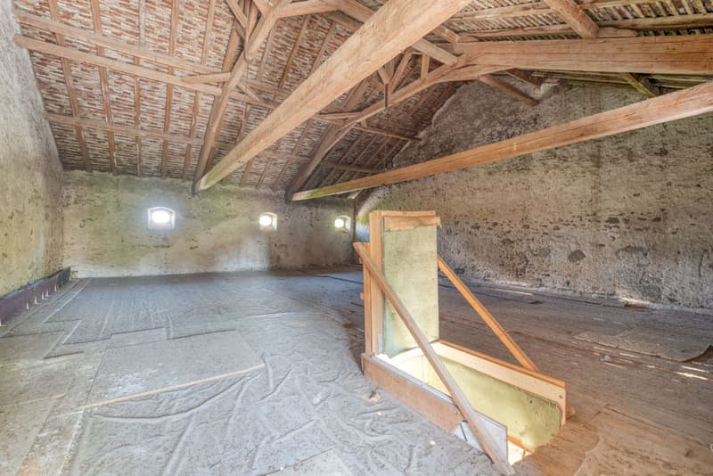 Meravigliosa costruzione storica (5)