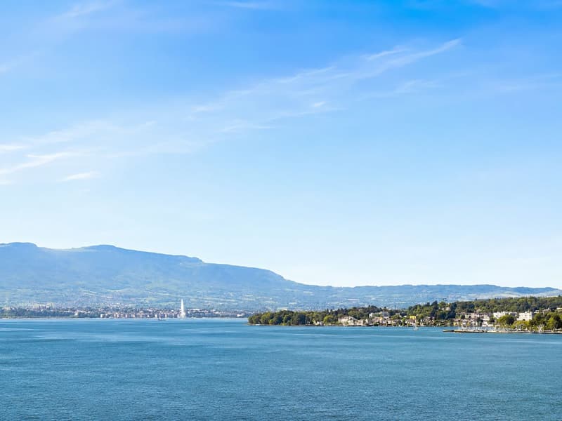 VERTRAULICHE VERKAUFSANZEIGE | WOHNUNG MIT TERRASSE UND SEEBLICK (2)
