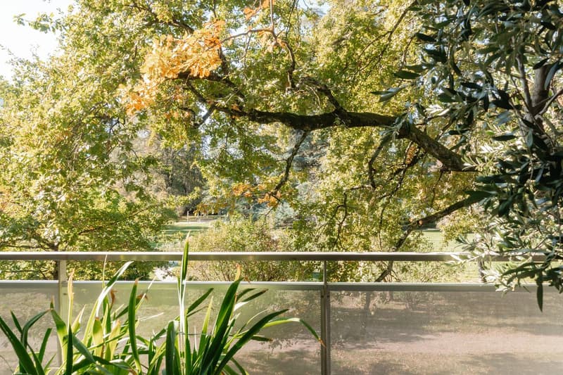 Superbe appartement dans un écrin de verdure (3)