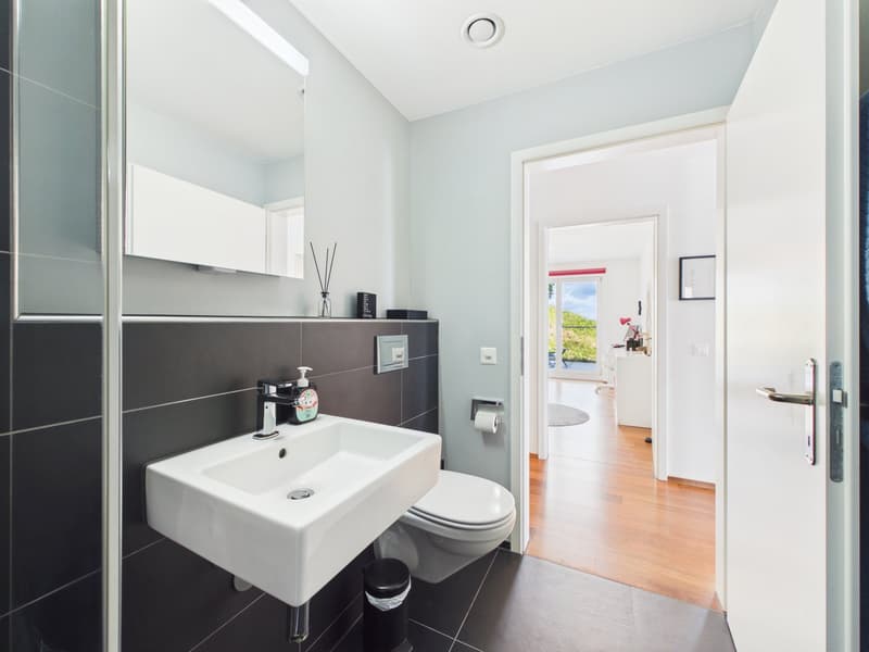 Exclusive terrace apartment with unobstructable far-reaching views (11)