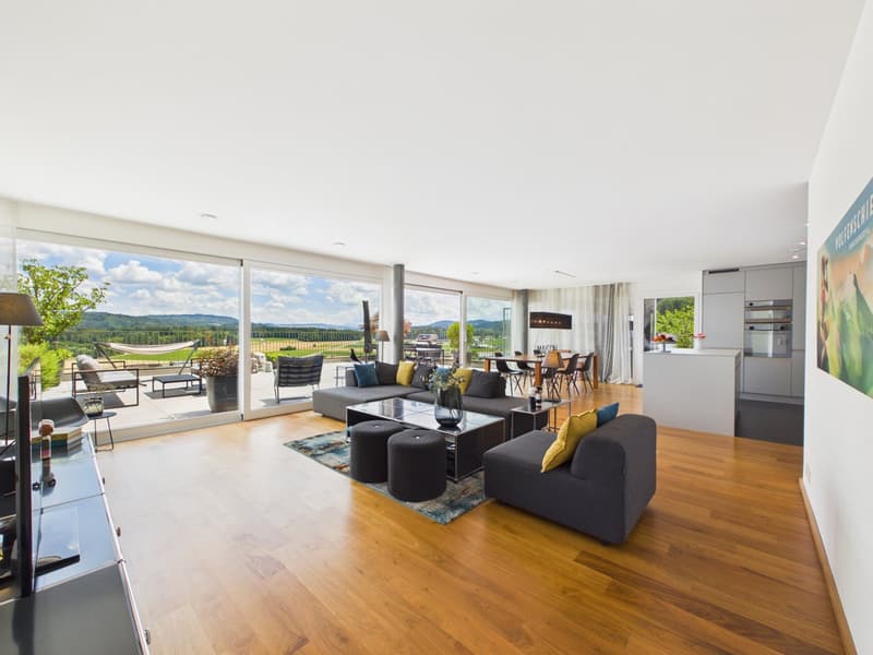 Exclusive terrace apartment with unobstructable far-reaching views (7)
