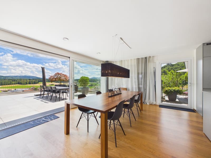 Exclusive terrace apartment with unobstructable far-reaching views (6)