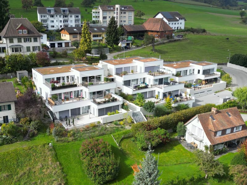 Multiple residential buildings, balconies, green rooftops, gardens, driveways, landscape view