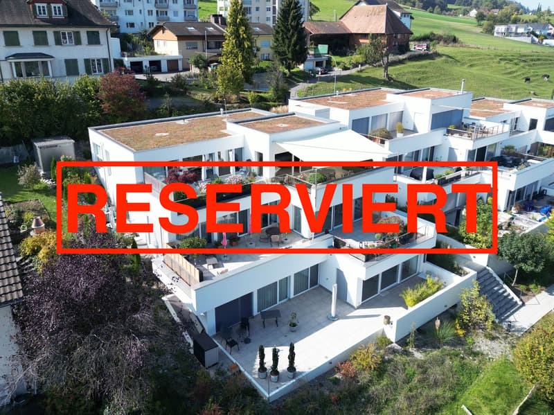 Attika-Terrassenwohnung mit Panoramablick im Wynental (1)
