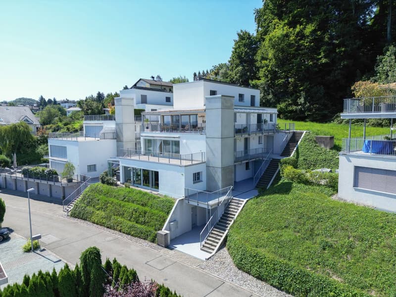 Terrace Jewel with a Wide View over Zurich (2)