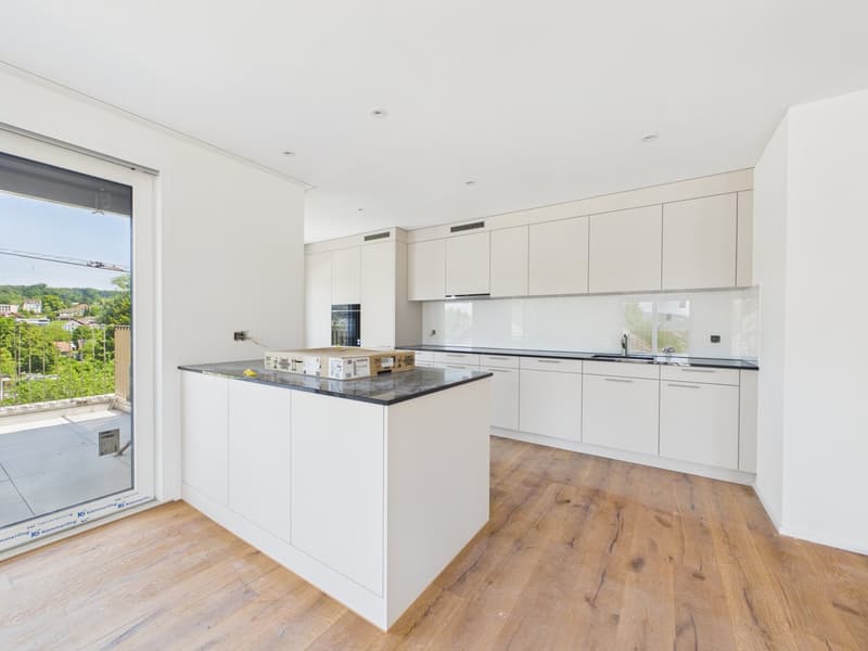 Exclusive new apartment for the first time (3)